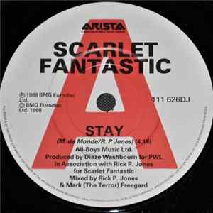 Scarlet Fantastic - Stay Mp3