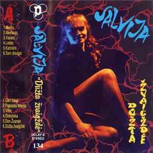 Salvija - Dūžta Žvaigždė Mp3