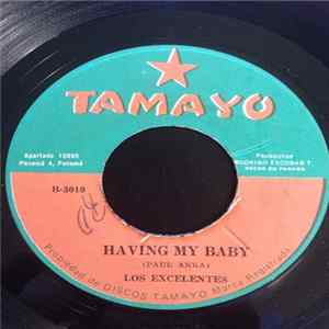 Los Excelentes - Noches Felices / Having My Baby Mp3