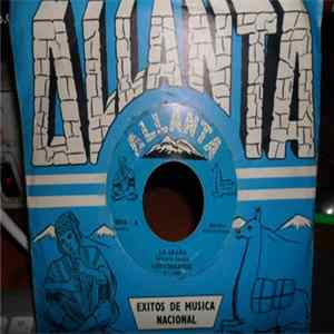Los Conejitos - la Araña / la Niña Mp3