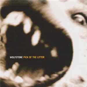 Wolfstone - Pick Of The Litter (The Best Of Wolfstone 1991 - 1996) Mp3