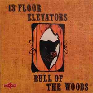 13th Floor Elevators - Bull Of The Woods Mp3