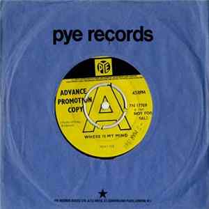Pesky Gee! - Where Is My Mind Mp3