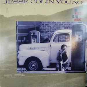 Jesse Colin Young - The Highway Is For Heroes Mp3