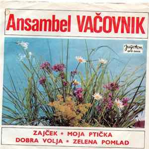 Ansambel Vačovnik - Zajček / Moja Ptička / Dobra Volja / Zelena Pomlad Mp3