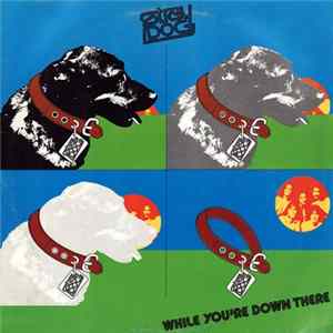 Stray Dog - While You're Down There Mp3