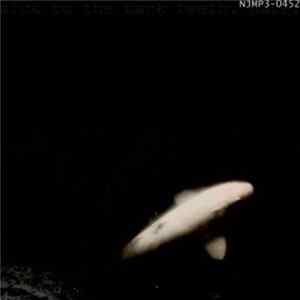 Sick To The Back Teeth - Haze Mp3