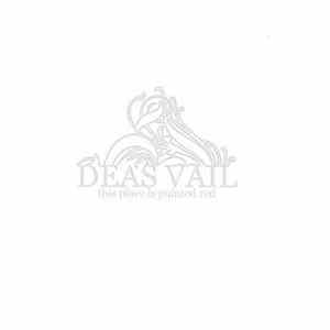 Deas Vail - This Place Is Painted Red Mp3