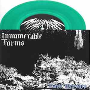 Innumerable Forms - Dark Worship Mp3