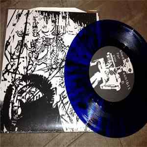 Shed For You - Exhibit D Mp3