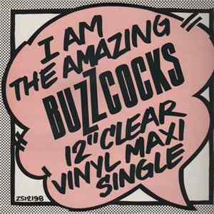 Buzzcocks - What Do I Get Mp3