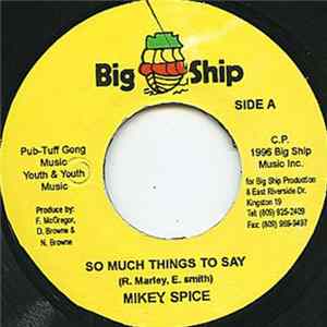 Mikey Spice - So Much Things To Say Mp3