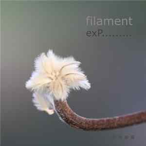 Filament - exP​.​.​. Mp3