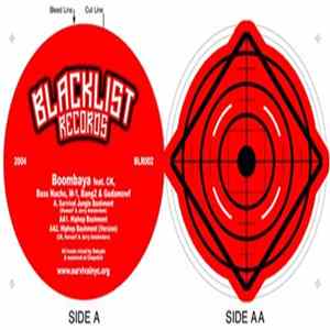 Boombaya - Survival Jungle Bashment / Hiphop Bashment Mp3