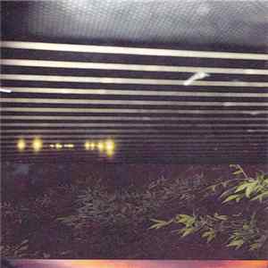 Gay Shapes - Untitled Mp3