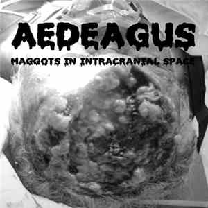 Aedeagus - Maggots In Intercranial Space Mp3