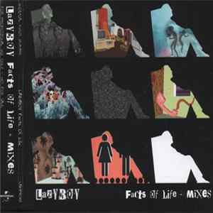 Lazyboy - Facts Of Life - Mixes Mp3