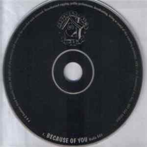 Scanty Sandwich - Because Of You Mp3