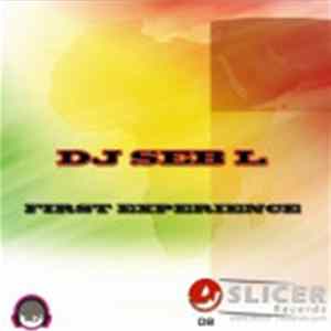 Dj Seb L - First Experience Mp3