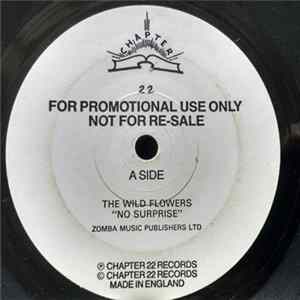 The Wild Flowers - No Surprise Mp3