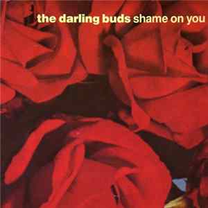 The Darling Buds - Shame On You Mp3