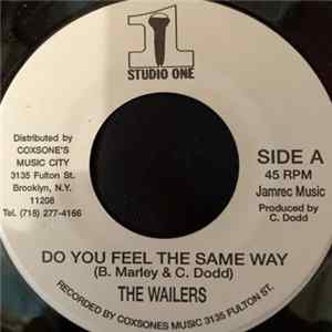 The Wailers - Do You Feel The Same Way / Destiny Mp3