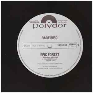 Rare Bird - Epic Forest Mp3